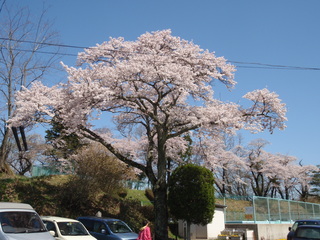 P4280001.JPG