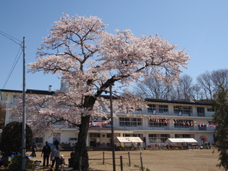 P4280002.JPG